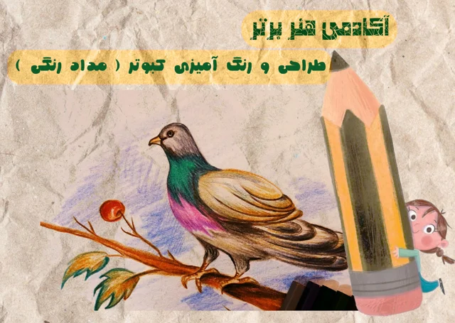 طراحی کبوتر